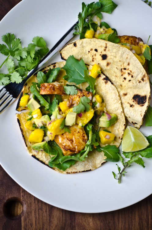 Taco Taco
