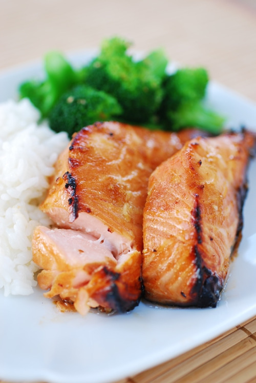 Salmon Salmon