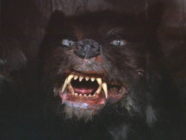 The NeverEnding Story The NeverEnding Story