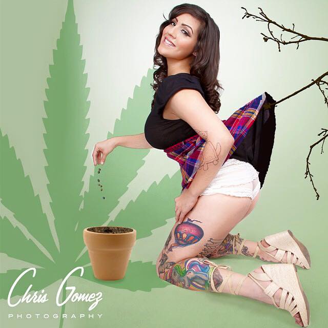 Aurora Indica Aurora Indica