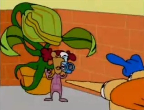 Home Movies