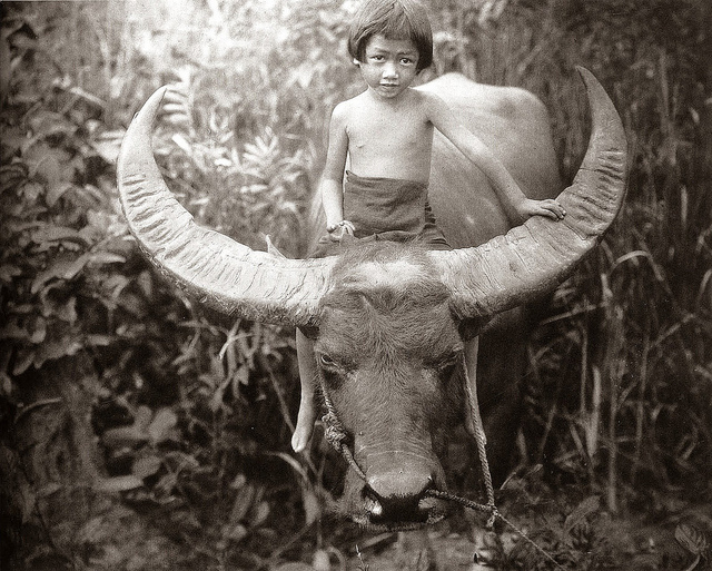 Chang: A Drama of the Wilderness Chang: A Drama of the Wilderness