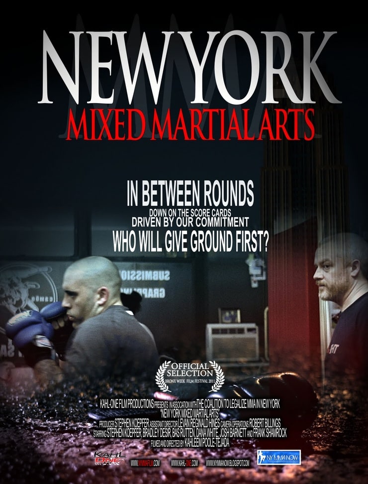 New York Mixed Martial Arts