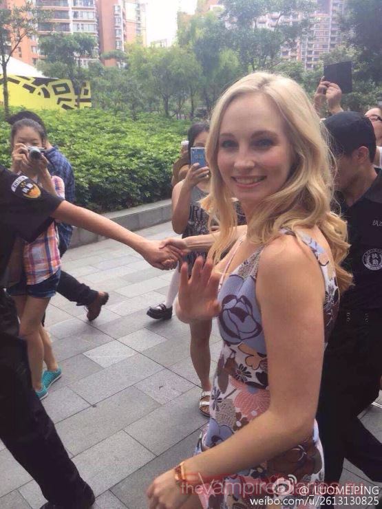 Candice Accola