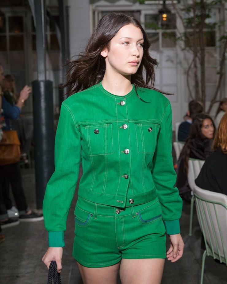 Bella Hadid picture