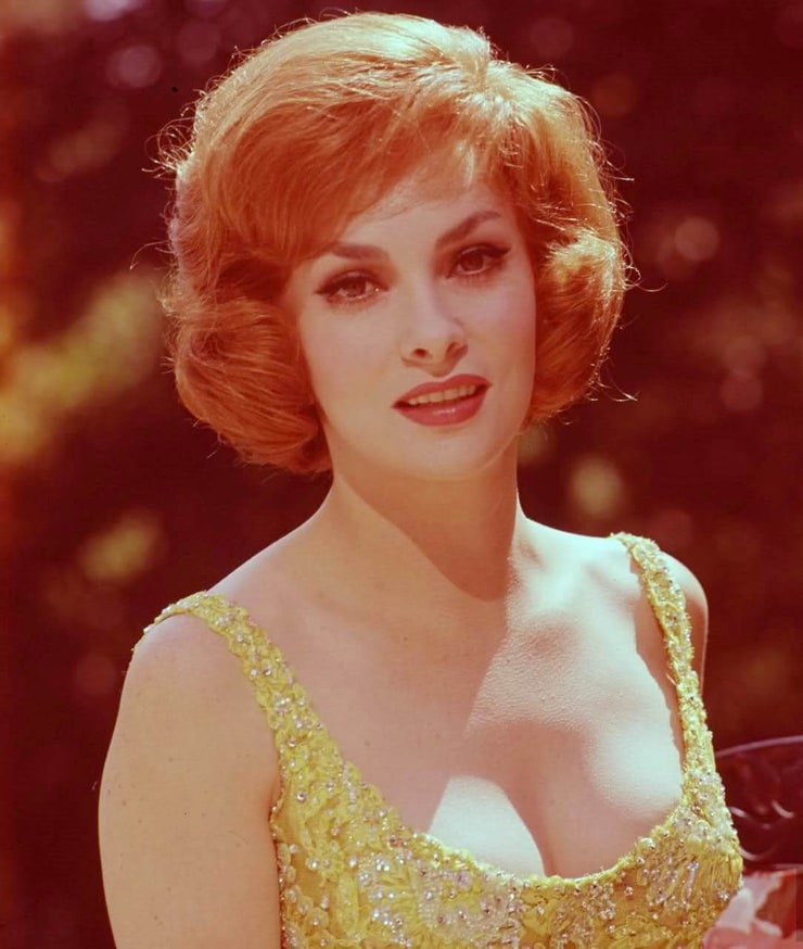 Gina Lollobrigida