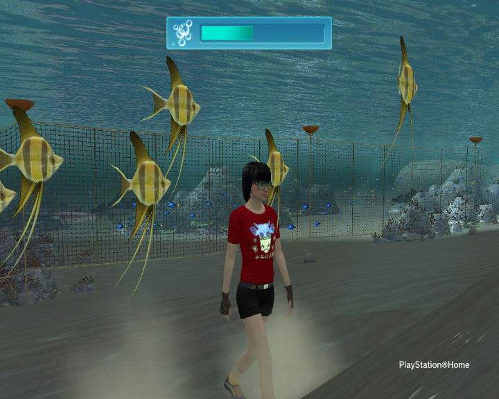PlayStation Home