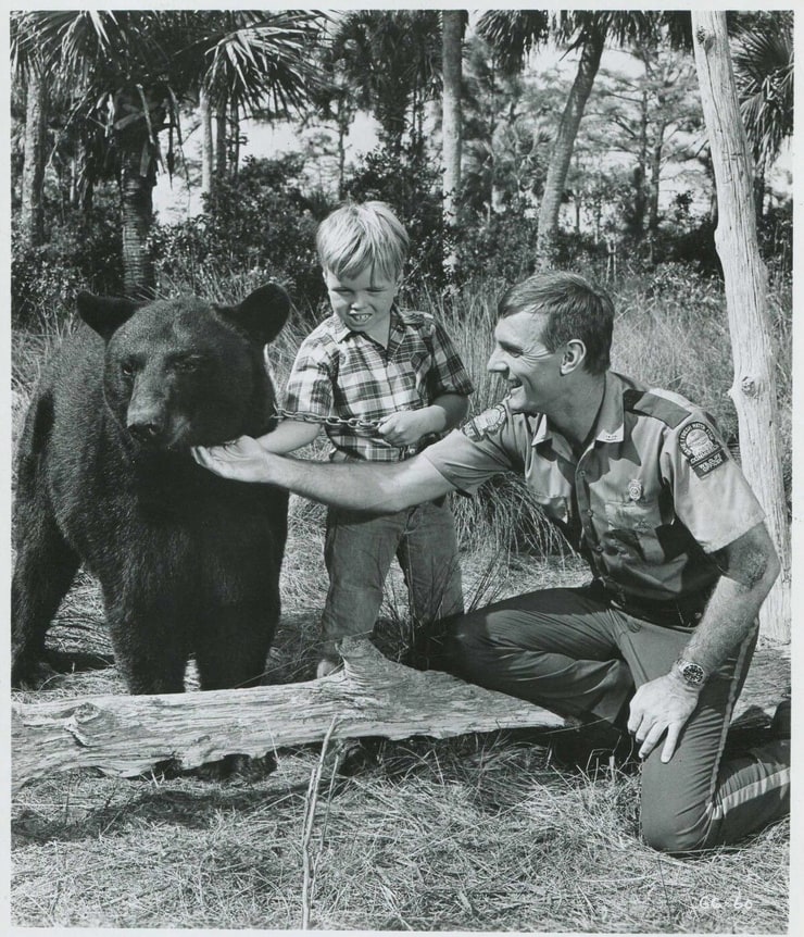 Gentle Ben