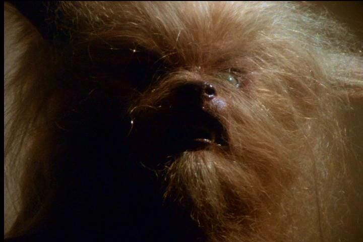 The Howling