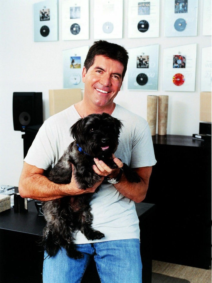 Simon Cowell