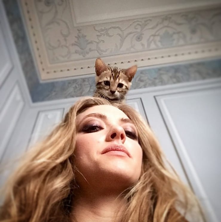 Amanda Seyfried Amanda Seyfried