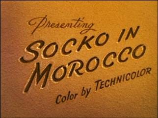 Socko in Morocco