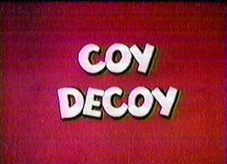 Coy Decoy