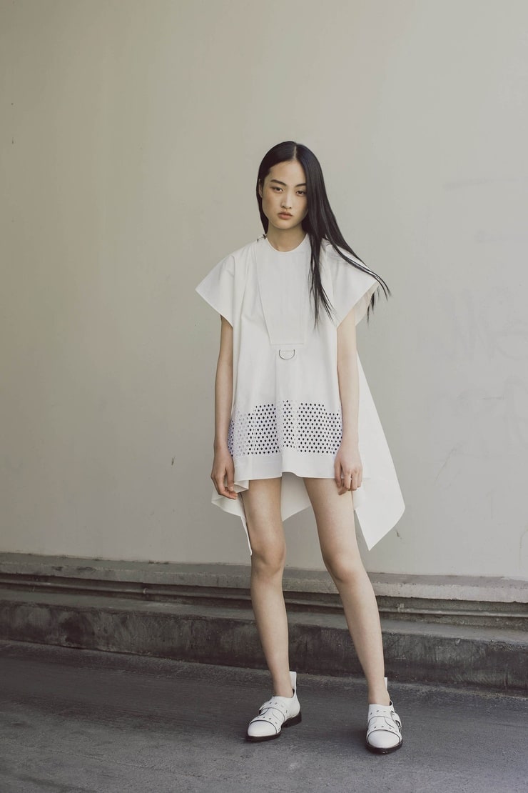 Jing Wen