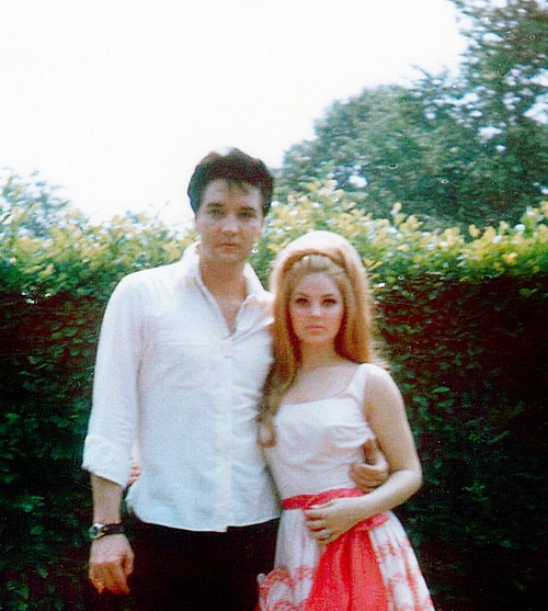 Priscilla Presley Priscilla Presley