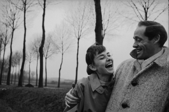 Audrey Hepburn Audrey Hepburn