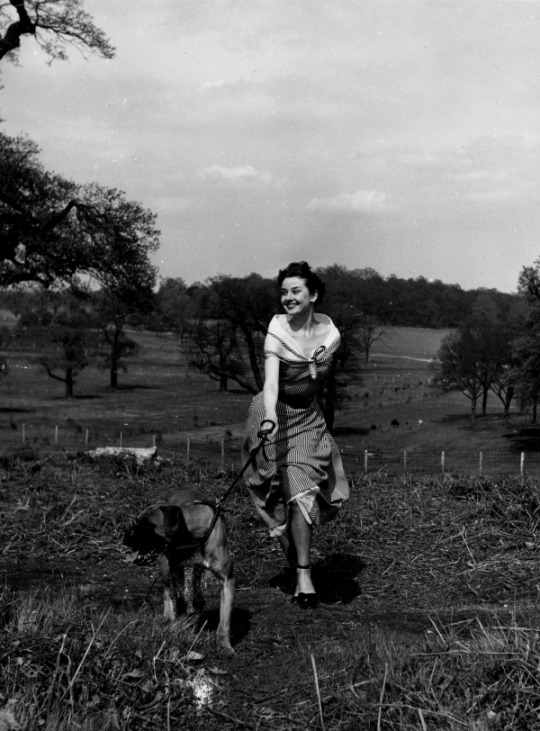 Audrey Hepburn Audrey Hepburn