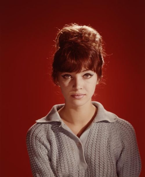 Picture of Anna Karina