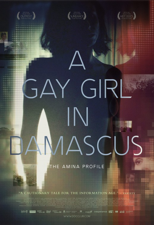 A Gay Girl in Damascus: The Amina Profile                                  (2015)