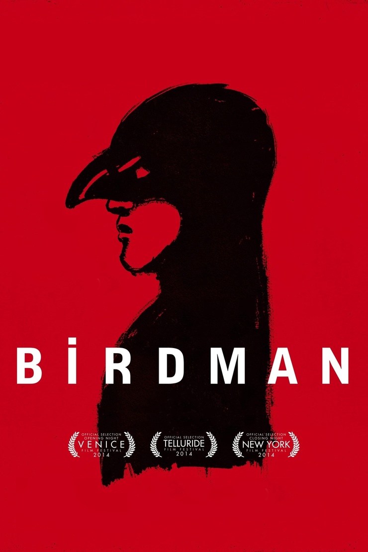 Birdman or (The Unexpected Virtue of Ignorance)