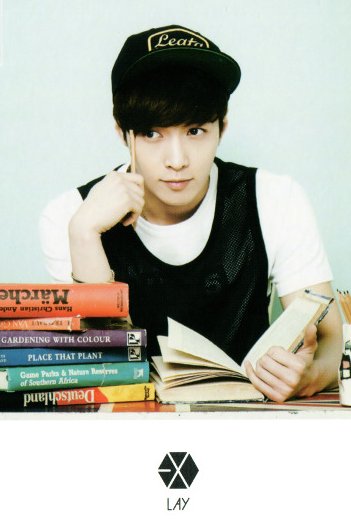 Lay