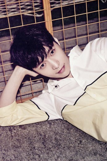 Lay