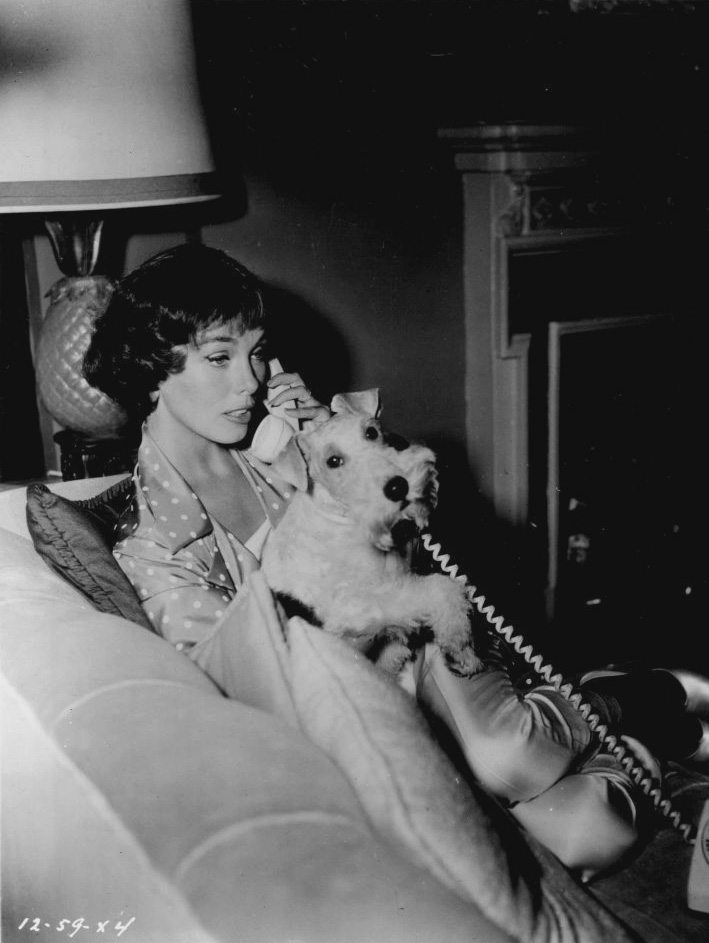 The Thin Man The Thin Man