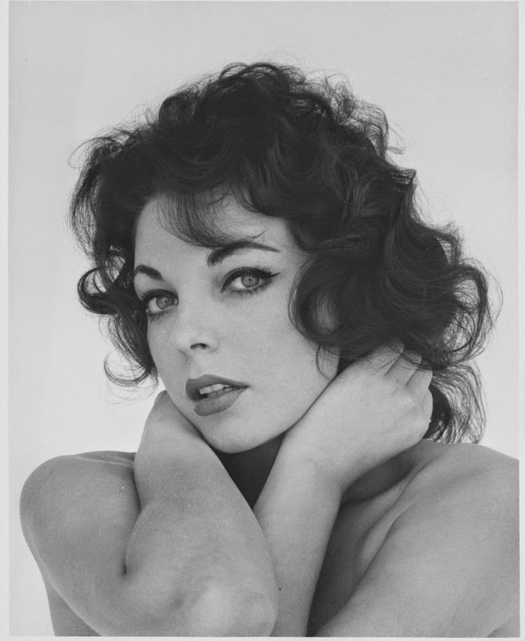 Joan Collins Joan Collins