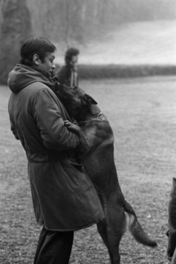Alain Delon