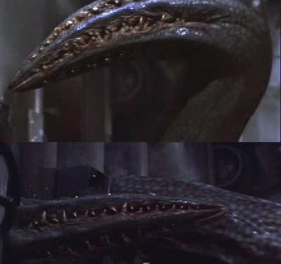 Deep Rising