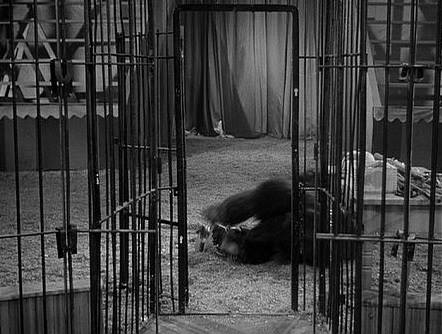 Captive Wild Woman