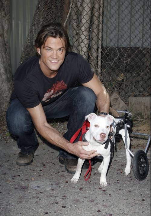 Jared Padalecki Jared Padalecki