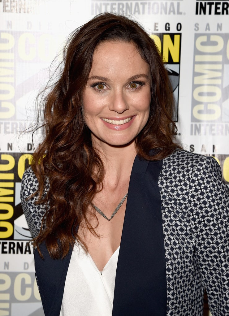 Sarah Wayne Callies