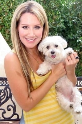 Ashley Tisdale