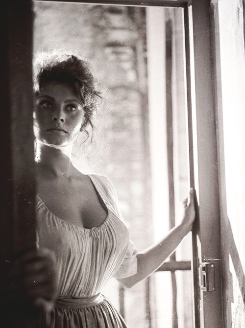 Sophia Loren Sophia Loren