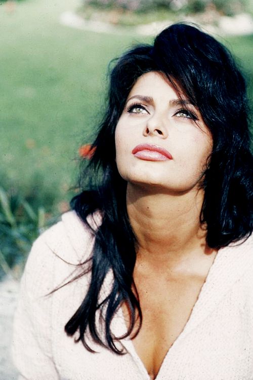 Sophia Loren Sophia Loren