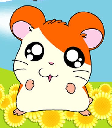 Hamtaro Hamtaro