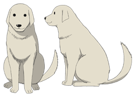 Azumanga Daioh: The Animation