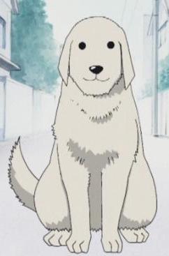 Azumanga Daioh: The Animation