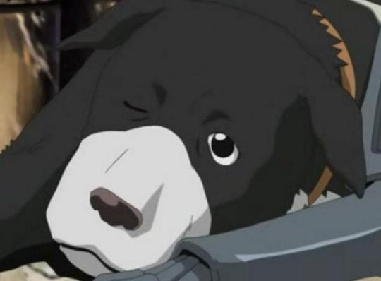 Fullmetal Alchemist