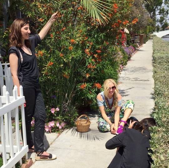Candice Accola