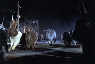 Night of the Lepus