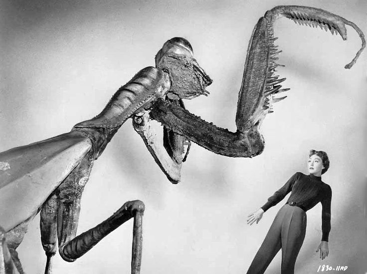 The Deadly Mantis The Deadly Mantis
