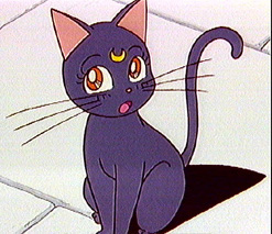 Sailor Moon