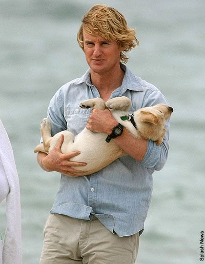 Owen Wilson