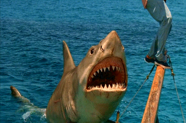 Jaws: The Revenge
