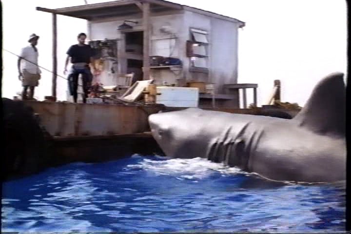 Jaws: The Revenge