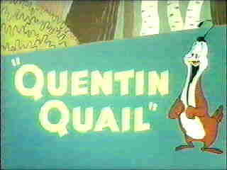 Quentin Quail