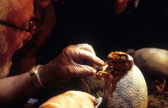 Jurassic Park