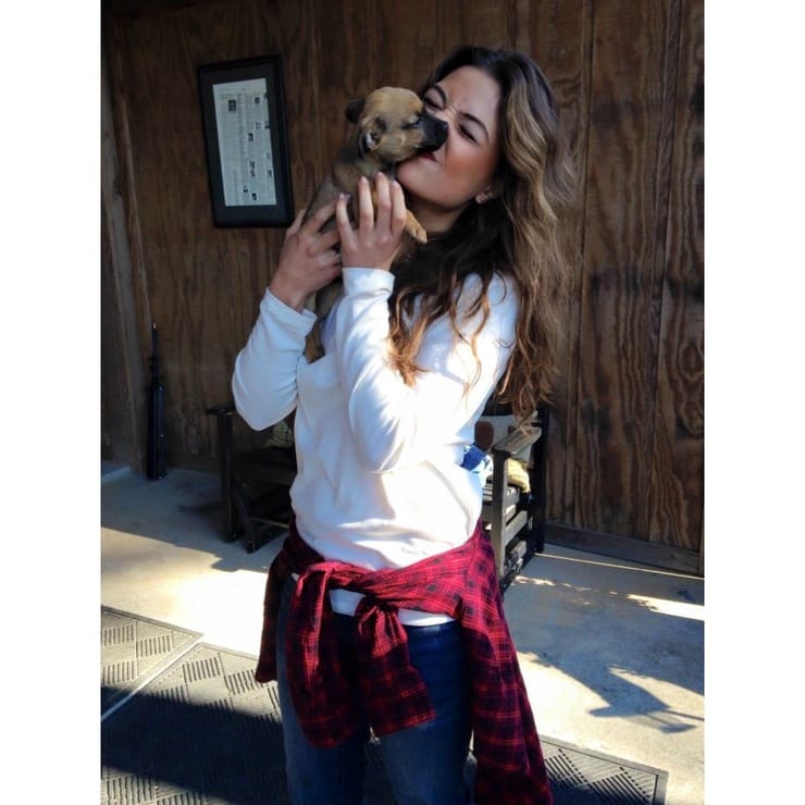 Danielle Campbell